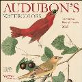 Audubon's Watercolors 2025 Wall Calendar