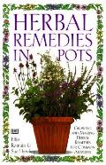 Herbal Remedies In Pots