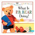 P B What Is P B Bear Doing