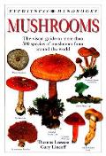 Mushrooms Eyewitness Handbooks