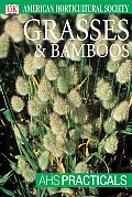 Grasses & Bamboos