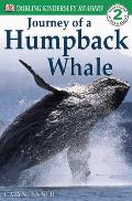 The Journey of a Humpback Whale