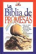 Biblia de Promesas