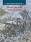 African-Americans in the Civil War (Untold History of the Civil War)