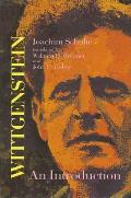 Wittgenstein An Introduction Suny Ser