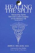 Healing the Split Integrating Spirit Into Our Understanding of the Mentally Ill Revised Edition