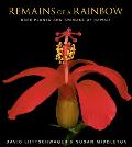 Remains of a Rainbow Rare Plants & Animals of Hawaii