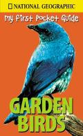 Garden Birds My First Pocket Guide National