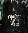 Spiders and Their Webs