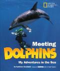 Meeting Dolphins My Adventures In The Se
