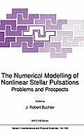 The Numerical Modelling of Nonlinear Stellar Pulsations: Problems and Prospects