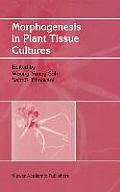 Morphogenesis in Plant Tissue Cultures
