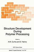 Structure Development During Polymer Processing