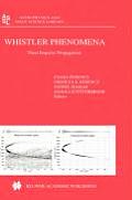 Whistler Phenomena: Short Impulse Propagation