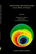 Protecting the Ozone Layer: Lessons, Models, and Prospects