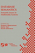Database Semantics: Semantic Issues in Multimedia Systems