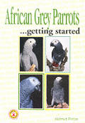 African Grey Parrots As A Hobby