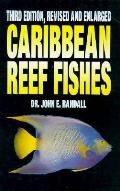 Caribbean Reef Fishes 3rd Edition