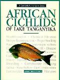 African Cichlids Of Lake Tanganyika
