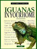 Iguanas In Your Home