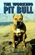 Working Pit Bull