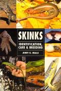 Skinks Identification Care & Breeding