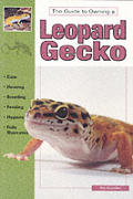 Leopard Geckos Identification Care & Bre