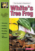 Whites Tree Frogs