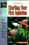 Guide To Setting Up An Aquarium