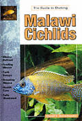 Malawi Cichlids Keeping & Breeding The M