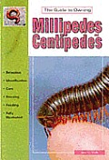 The Guide To Owning Millipedes and Centipedes