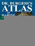 Dr Burgesss Atlas of Marine Aquarium Fishes