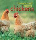 Choosing & Keeping Chickens