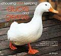Choosing & Keeping Ducks & Geese A Beginners Guide to Identification Care & Husbandry of Over 35 Species