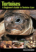Tortoises A Beginners Guide to Tortoise Care