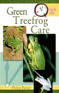 Green Treefrog Care