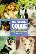 Guide To Owning Collies