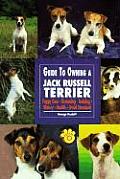 Guide To Owning A Jack Russell Terrier