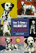 Guide To Owning A Dalmatian