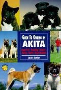 Guide To Owning An Akita