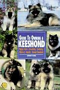 Guide To Owning A Keeshond
