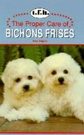Proper Care Of Bichons Frises