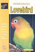 Guide To Owning A Lovebird