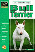 Guide To Owning A Bull Terrier