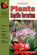 Guide To Plants For The Reptile Terrarium