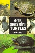 Cooters Sliders & Painted Turtles