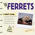 Simple Guide To Ferrets