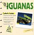 Simple Guide To Iguanas