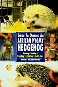 Guide To Owning African Pygmy Hedgehog