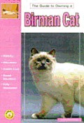 Guide To Owning A Birman Cat
